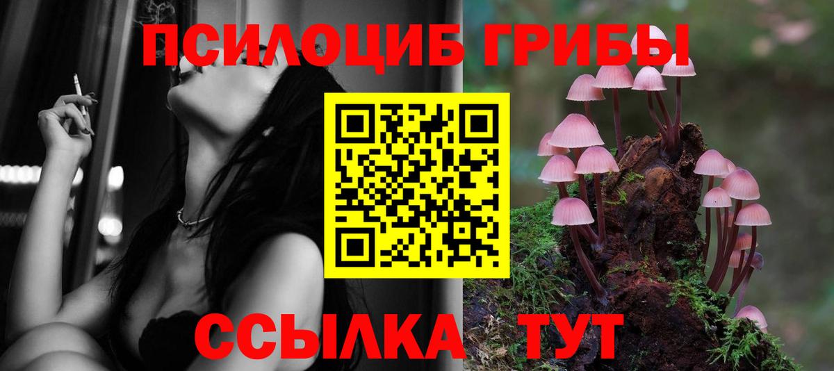 Дербент  Псилоцибиновые грибы Psilocybe  Галлюциногенные грибы мицелий  Вход с VPN 